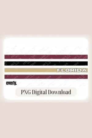 Florida State Stripes design PNG Download